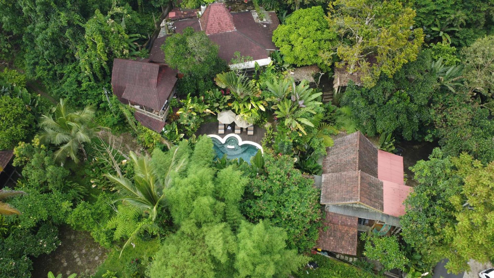 Umah Tis Sebatu Villa Tegallalang  Exteriör bild